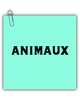 Animaux